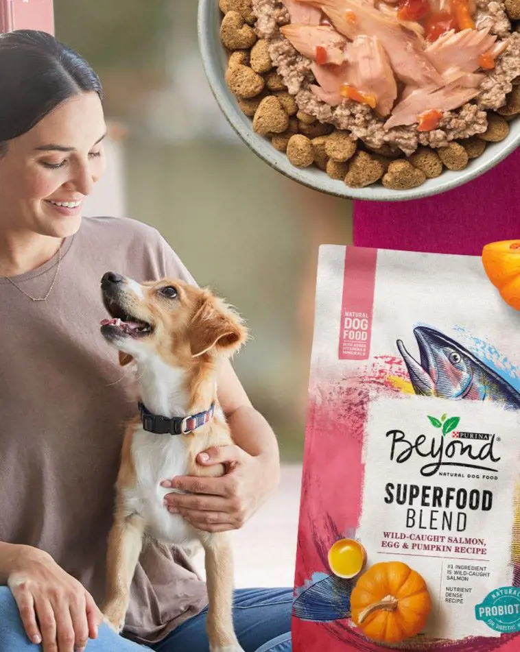 Photo inspiration: Accessible Nutrient Grain Free Dog Food Phytosterols For Senior Small Reference: 15 Best Grain Free Dog Foods